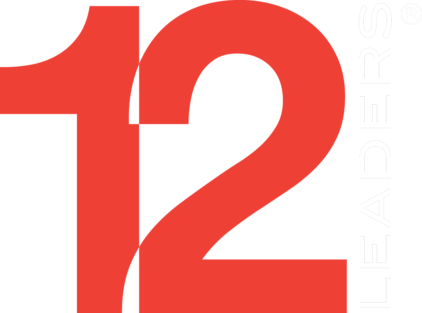 12 Leaders - Customized High Performance Neuroscience for Leaders and Entrepreneurs